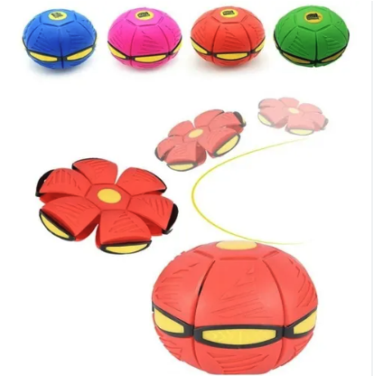 Pelota Frisbee